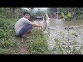 câu cá  giãi trí gặp đàn rô phi kéo mỏi tay   [một phát hai con]   Recreational Fishing