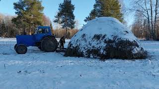 MTZ-80 came for hay, transportation of hay in winter, part 2. Final