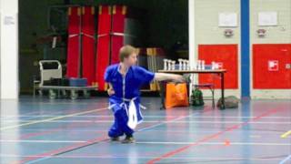 Shaolin Kung Fu - Wu Bu Quan