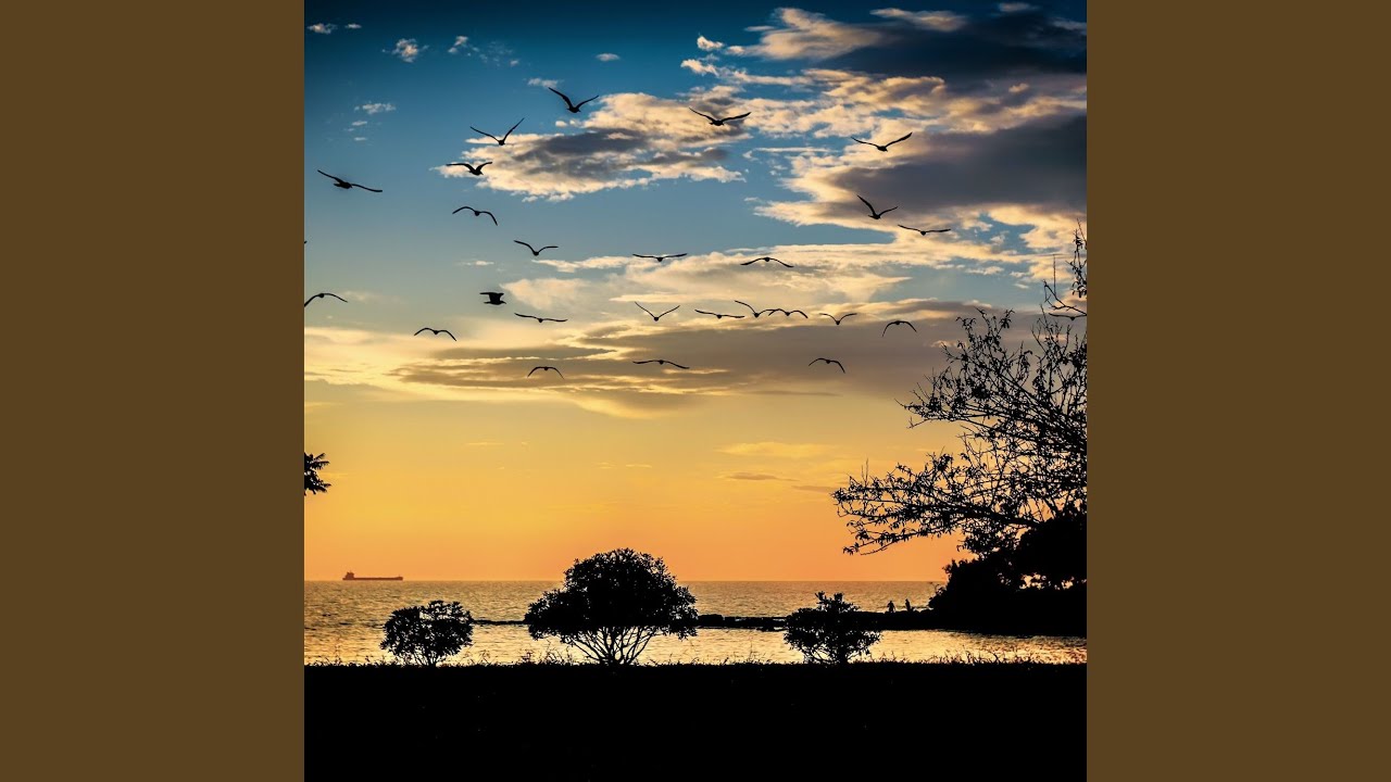 Curiosity of Reflection