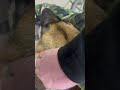Кайфанул)))