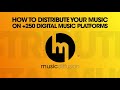 Musicdiffusion how to upload your music to 250 music platforms english tutorial