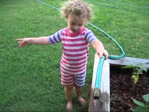 Watering green beans