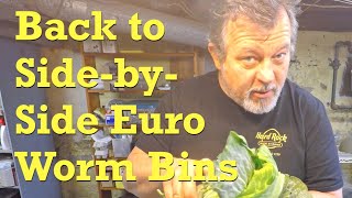 Euro worms fed after a food glut applied 15 days ago - vermicompost