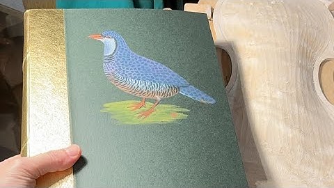 LIVE 🎻 🎥 arching the maple back of a violin 🪶Pernice