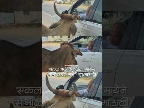 # गुरु माऊली