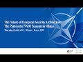 The Future of European Security Architecture: The Path to the NATO Summit in Vilnius