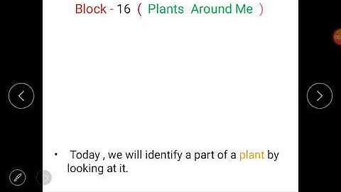 Class 1(E.V.S)- Lesson 3(Observing Plants) of block 16(Plants Around Me).