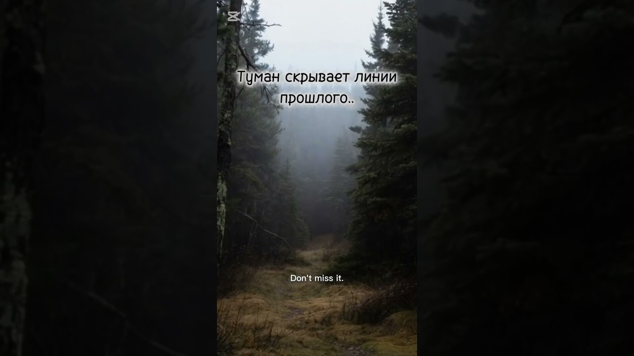 Броди и восхищайся "Saskatchewan:тени природы " 