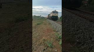 Dora Train Travel My Favorite Video