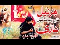 Garneel Te Rondy Ne Ghazi  | Zawar Qurban Jafri | Saraiki Noha | New Noha Muhram 2023-24| 1080