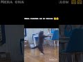 cat dance #catshorts#catmemes