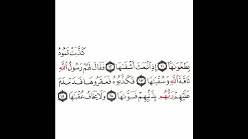 سورة الشمس 2 القسم الثاني تكرار كيفي من .. كذبت ثمود بطغواها .. إلى .. ولا يخاف عقباها