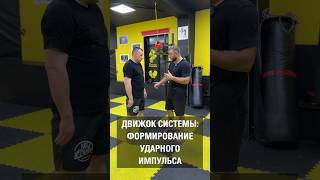 Движок системы: формирование ударного импульса. Школа NeoCombat.