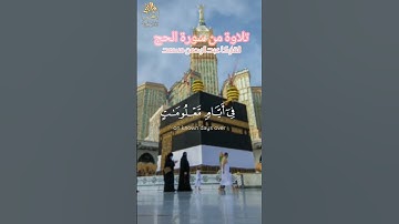 تلاوة من سورة #الحج القارئ #عبد_الرحمن_مسعدتلاوة تريح القلب❤