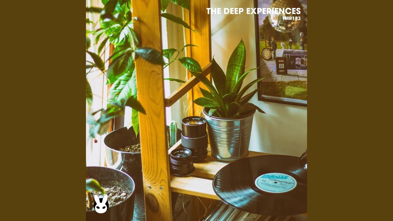 Παρακολούθηση Feel in Love στο YouTube