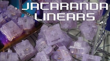 What are these? Jacaranda Linear Switches Full Review and Soundtest on Vega 65!