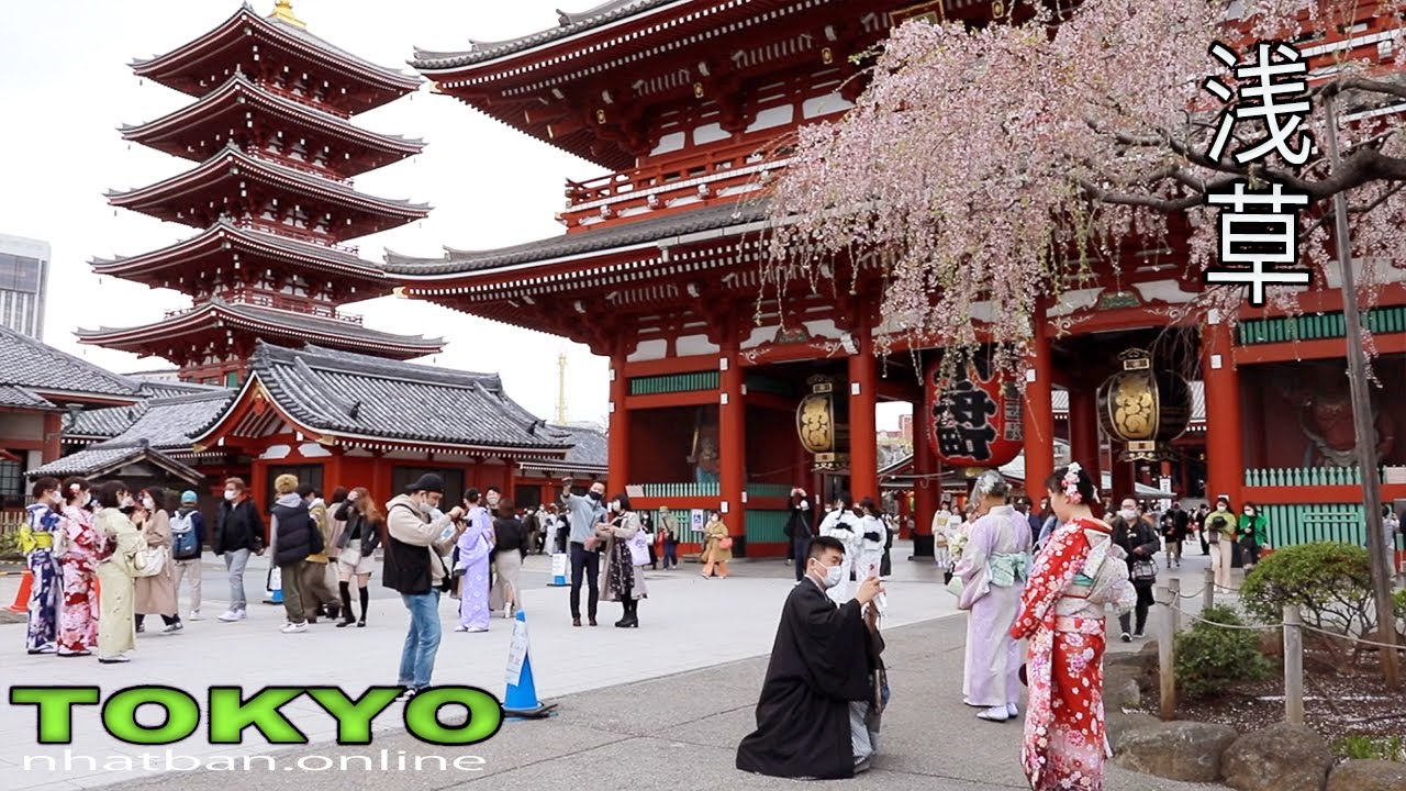 Japan Tokyo Asakusa shrine at spring | #4k #tokyo #浅草|Explore Japan - YouTube