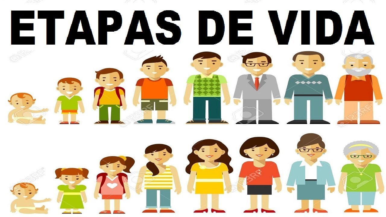 Las Etapas De La Vida Para Niños De Primaria - Infoeducacion.es 7BF