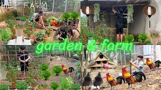 45-day journey to build a life of gardening, growing crops, and taking care of animals