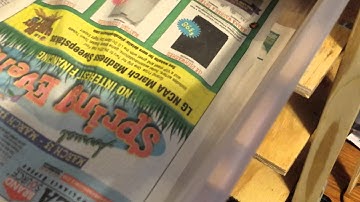 Ball Python breeding update 2 @ Queen City Constrictors