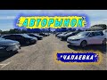 АВТОРЫНОК КИЕВ "ЧАПАЕВКА" ЦЕНЫ НА АВТОРЫНКЕ, ЧТО КУПИТЬ??? #цены #авторынок #автоподбор Сентябрь