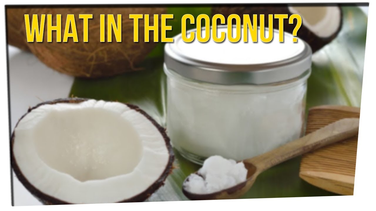 Guy Shares Disgusting Story About a Coconut ft. YouTube