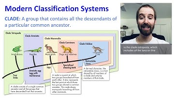 Biology (1-4) Classification and Relationships