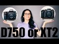 Nikon D750 or FUJIFILM XT2 〜 Beginner's choice 〜 (日本語字幕) 初心者が選ぶNikonD750/FUJIFILM XT2の話