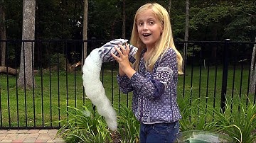 Bubble Snakes Science Project for Kids
