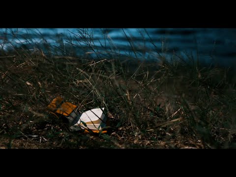 kojikoji / 金柑 (Official Video)