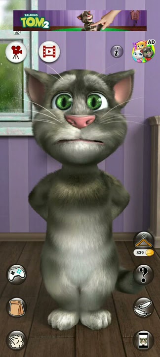 Billi mausi thak gai hai