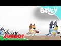 Bluey: Persiguiendo a papá y mamá | Disney Junior Oficial