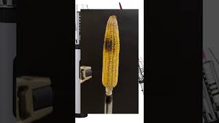 Corn vs lighter #fancylighter #lighter #smokinglighter