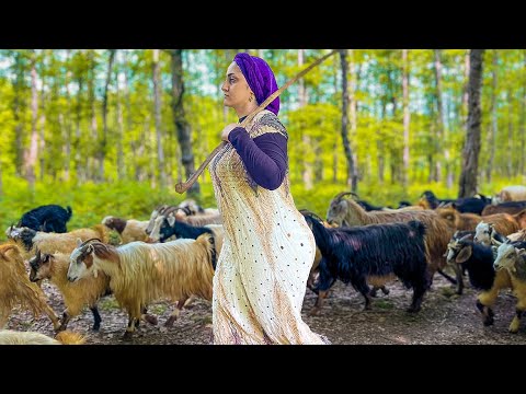 IRAN nomadic life | daily routine village life of Iran | Nomadic lifestyle of Iran