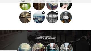 This One - One Page Responsive Wordpress Theme