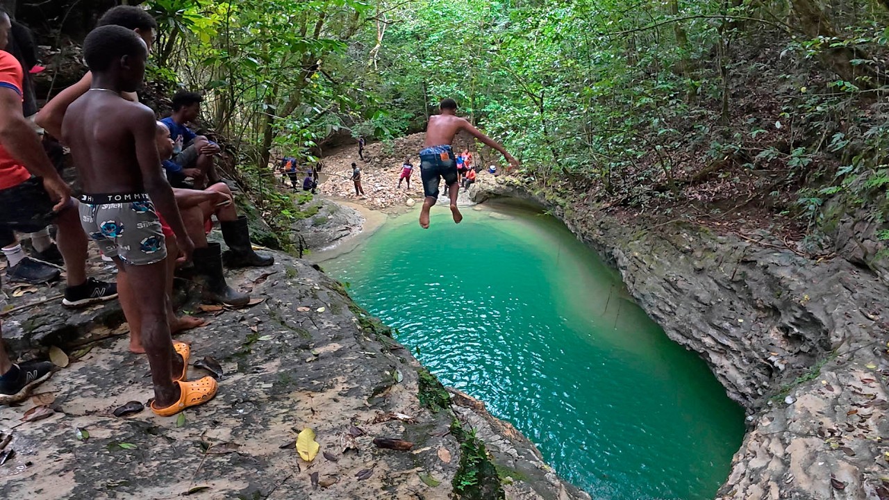 Naturaleza Pura: Bosque. Chapuzon en el Rio y Cascada