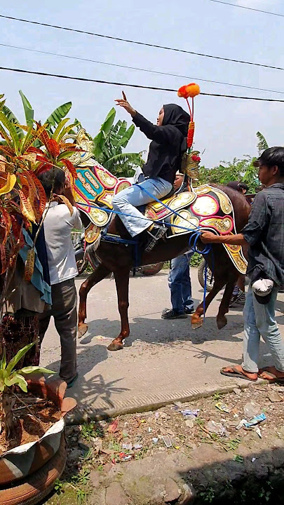 Kuda Renggong di linggar jati #kudarenggong #camelia #dancinghorse #dancehorse #short #reak