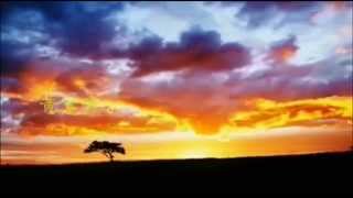 黃鶯鶯- 讓愛自由/Tracy Huang - Let The Love Be Free - YouTube