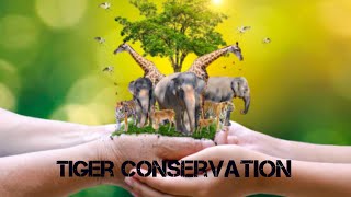 Tiger conservation In India... wildlife conservation #wildlife #wildlifeconservation
