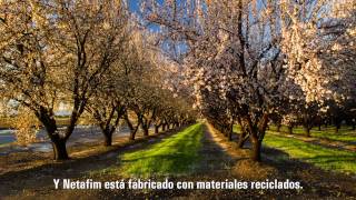 Instalación de un sistema de riego por goteo subsuperficial en césped