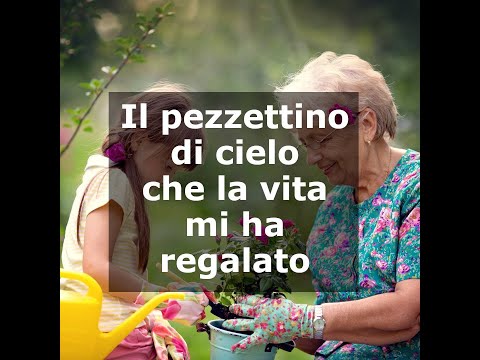 Video: Come Registrare Un Nipote A Una Nonna