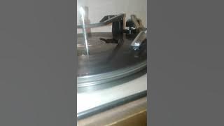 'El diario' Neil Sedaka 1958.
