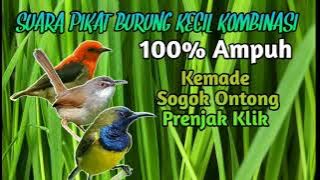 Suara Pikat Burung Kemade,Sogon,& Prenjak Klik || Samid Nafre Channel