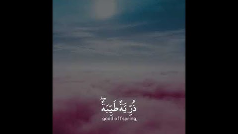 ماهر المعيقلي || هنالك دعاز كريا ربه قال رب هب لي من لدنك ذر ية طيبة إنك سميع الدعاء|| سورة ال عمران
