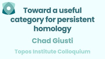 Chad Giusti: "Toward a useful category for persistent homology"
