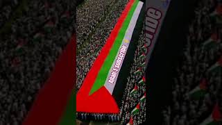 #love #palestine #support #palestine #trending #viral #1million #support #ytshorts #youtubgaidline