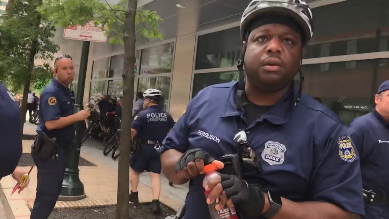 Out making some new friends ?