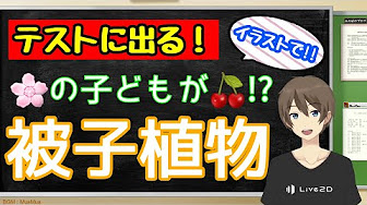 中学1年理科 植物と動物の分類 生物 Youtube