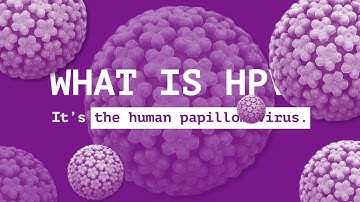 IPVS Educational Video_The Basics